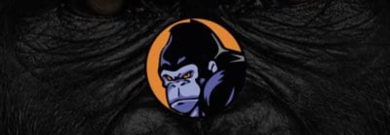 Silverback Web Design & Marketing