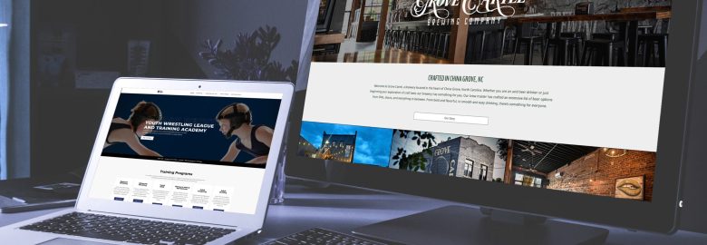 Vivid Insights & Marketing LLC