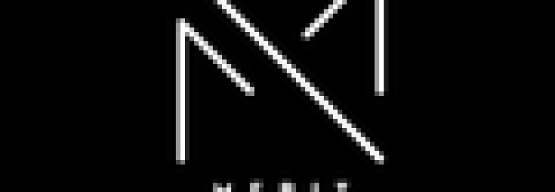 Merit Marketing Solutions