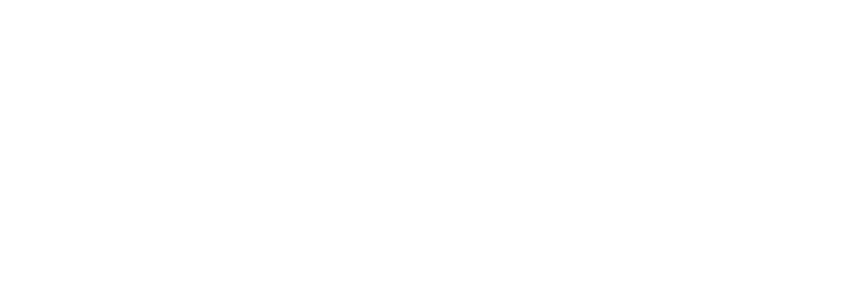 Web Wise Solutions