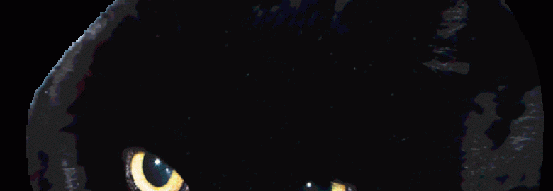 Union Square Advertising