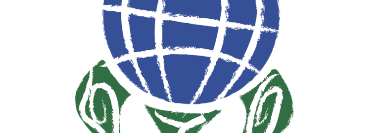 Webmaster Services Hawaii | Hawaii Web Design & Hawaii SEO