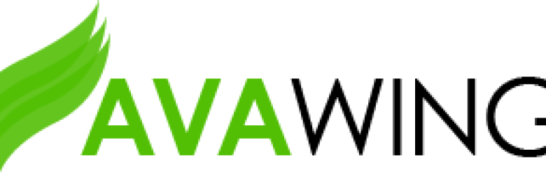 AvaWing Digital Marketing & SEO