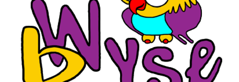 bWyse Internet Marketing & Social Media Consulting