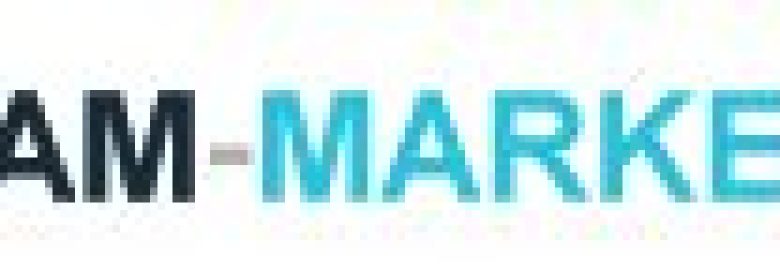 BAM-MARKETING LLC