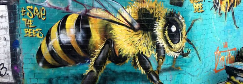 Buzzy Rocket