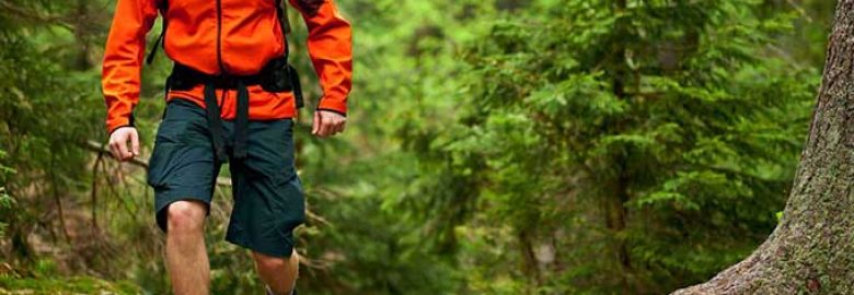 SEO Image – Long Island SEO Company & Reputation Management Service