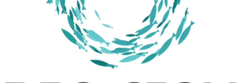 Big Fish Web Design
