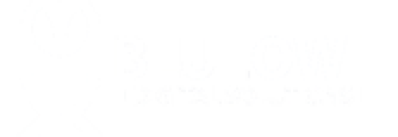 Blue Owl Digital Solutions