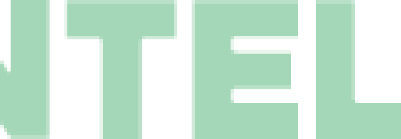 Boston Intelligence Group, Inc.