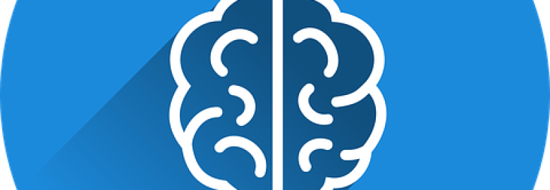 Whole Brain Digital LLC