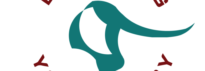 Medium Rare Promotions