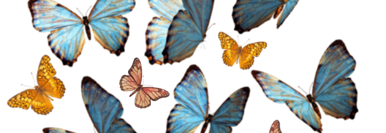 Catch 616 Digital Marketing