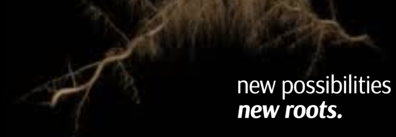 New Roots Marketing and Web Design