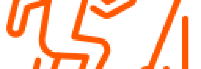 Native Gains – Digital Marketing & Web Development