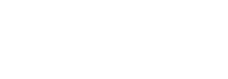 Cardamone Marketing Group