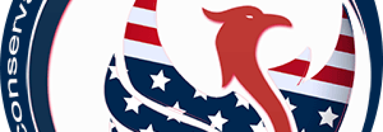 Conservative Web Designers