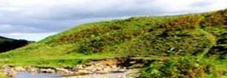 The SunStream Consulting Group