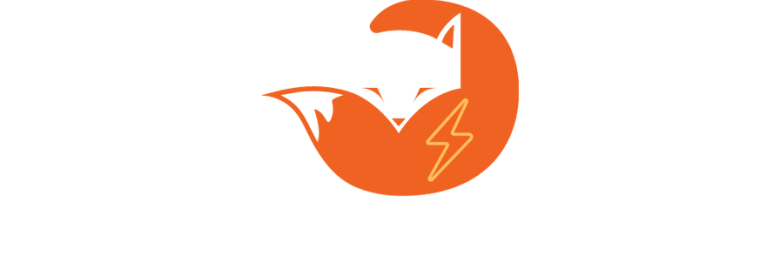 BlitzFox Marketing