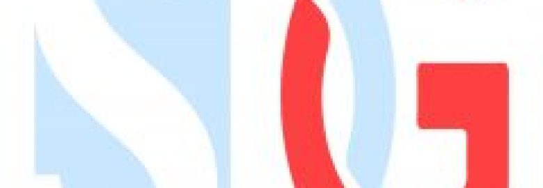 Stride Digital Group