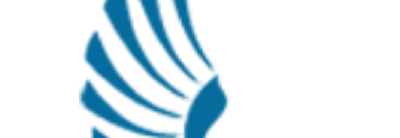 Falcon Digital Marketing