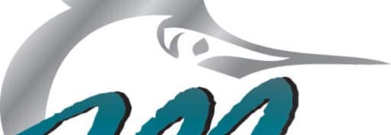 Marlin Consulting Solutions