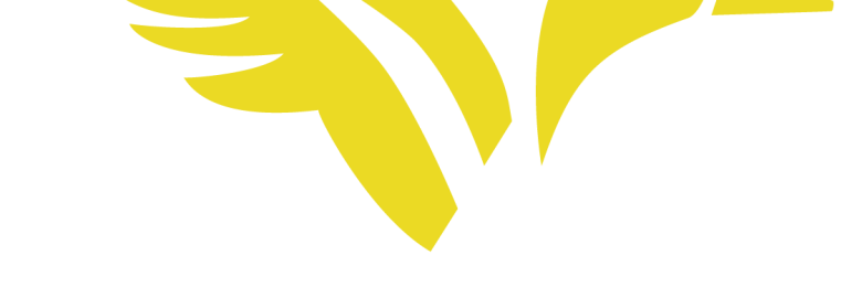 Yellow Duck Marketing