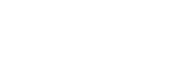 CG Web Strategy