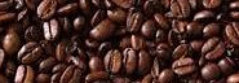 Nina in Vermont – hidden treasurers