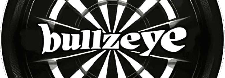 Bullzeye Media Marketing | SEO | PPC | Web Design