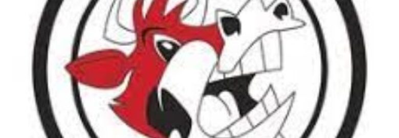 Screamin Cow Marketing Group