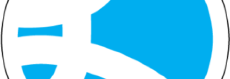 Laced Media – Digital Marketing