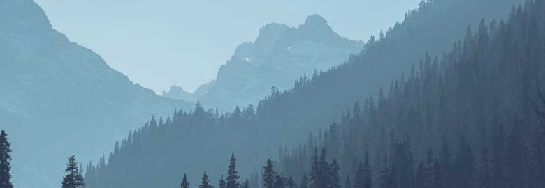 Site TitleT-Pope Marketing