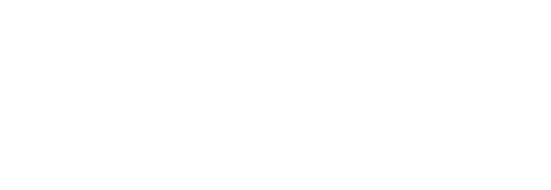 Rogue Business Marketing