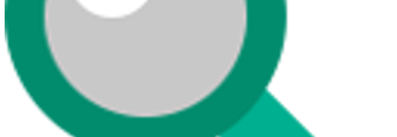 SEO Web Design, LLC