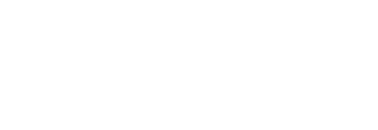 Bliss Influence LLC