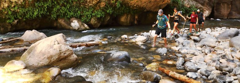 Tourism Development Consultants LLC