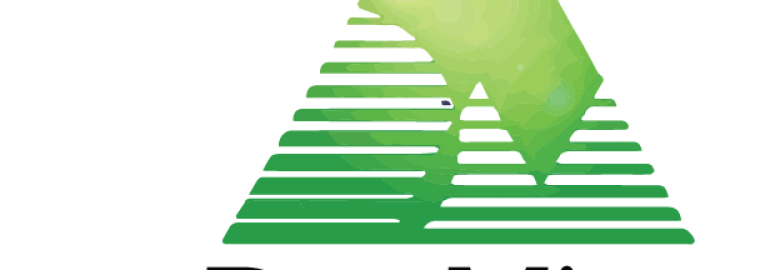 DataMine Internet Marketing