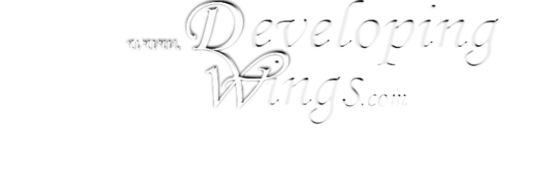 Developing Wings, Inc. – AI & Virtual Tours