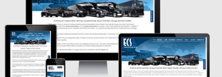 Partners in Local Search LLC