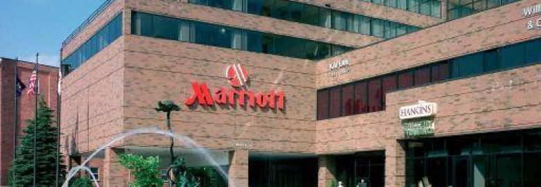 Netvantage SEO Lansing