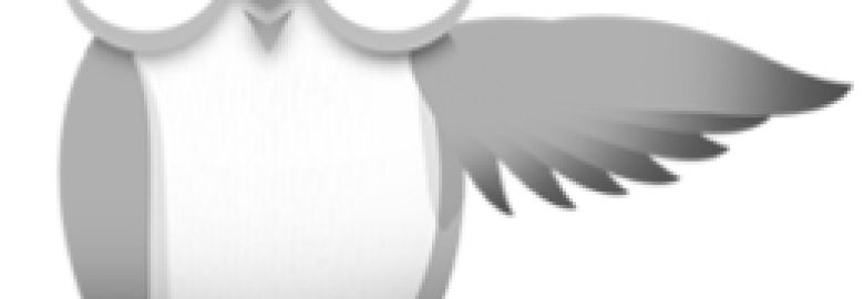 Eye on Advertising Solutions