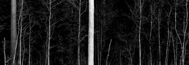 Circle Squared Publishing, LLC