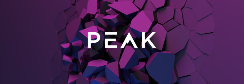 Peak Digital Marketing Solutions + SEO Company