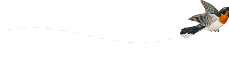 Market & Convert Digital Media