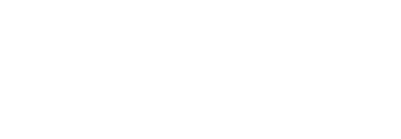 Focalidea SEO Professional and Web Design Services