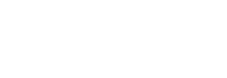Fusion Media