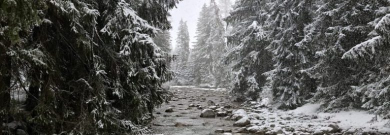 White Mountains Technology & Marketing