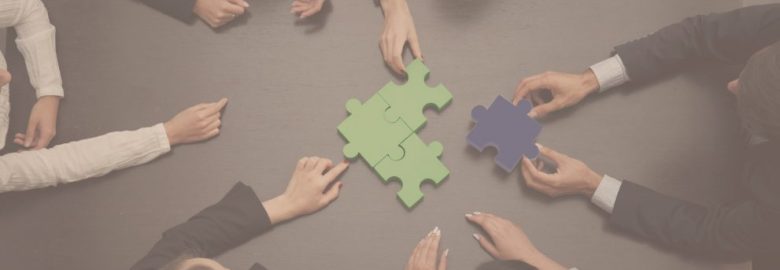 Research & Marketing Strategies, Inc. (RMS)