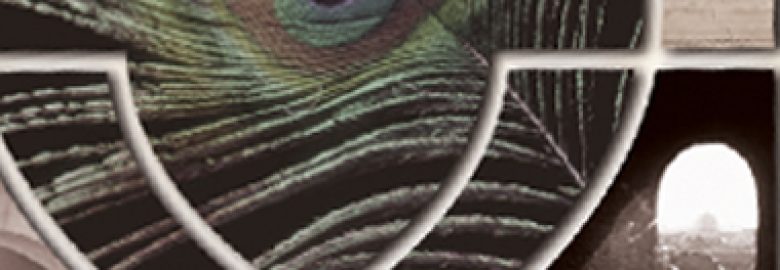 Sonipak Design & Marketing